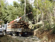 森林整備（間伐材の搬出）