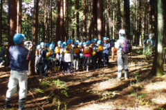小学生対象の体験事業（森林体験）イメージ